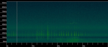 Spectrogram of sound recording showing frequency of sounds emitted