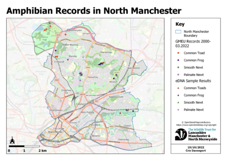 Amphibian Records in North Manchester 