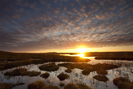 Sunsetting over peatland