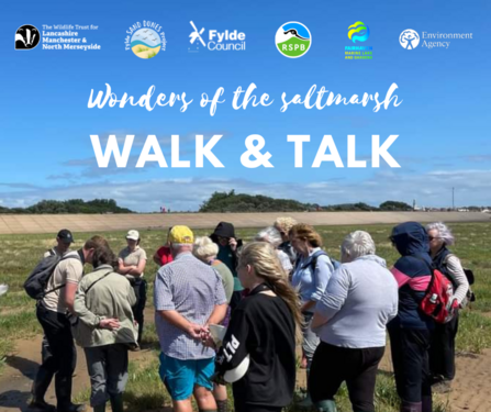 Wonders of the saltmarsh walk & talk