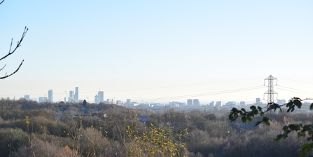 Phillips Park landscape
