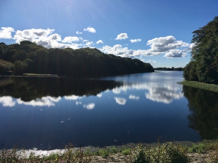 Anglezarke Reservoir