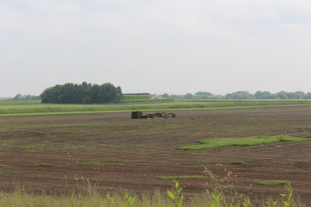 Area of turf production, showing rolls of turf and brown bare stripped peat