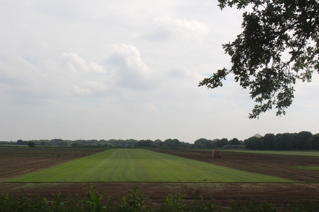 Area of green turf surrounded by brown bare peat