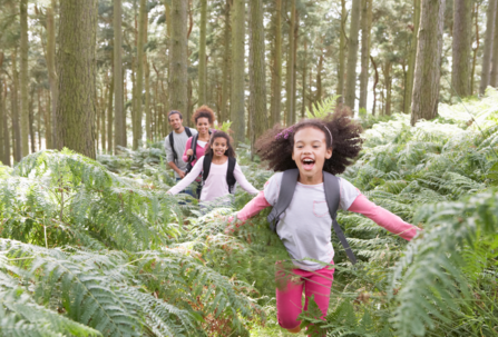 Forest School Taster