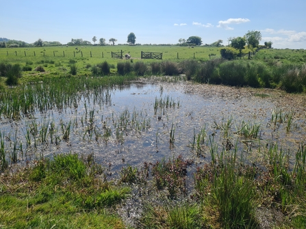 A historical ghost pond underneath a clear blue sky