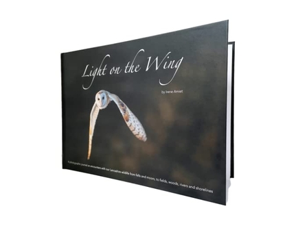Light on the Wing Book Cover