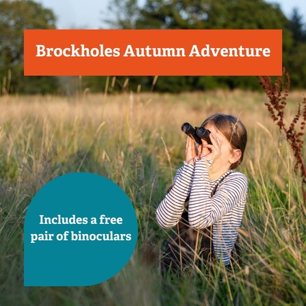 Brockholes Autumn Adventure 