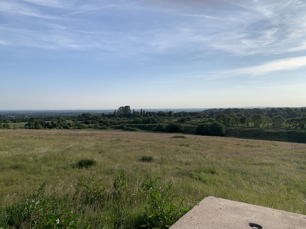 view at the top of the hill at cutacre