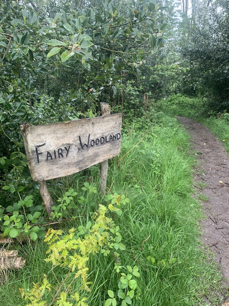 the fairy woodland at Brockholes