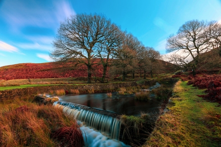 White Coppice