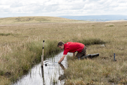 Person in a red t-shirt reaching into a pool of water on Holcombe Moor