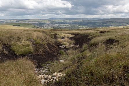 Stone dams blocking gullies at Holcombe Moor