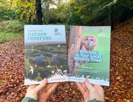 A copy of our 2023 reserve guide and membership leaflet are held up in front of a woodland backdrop