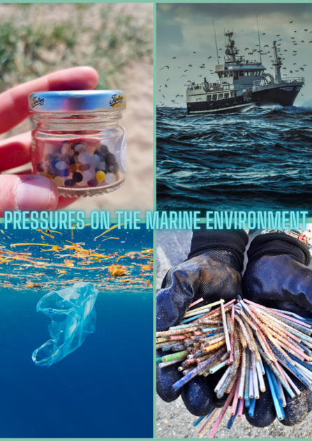 Beach School - Pressures on the marine environment