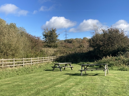 Sunshine and benches at Heysham Nature Reserve
