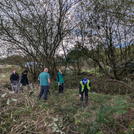 Volunteers on the bank of a stream