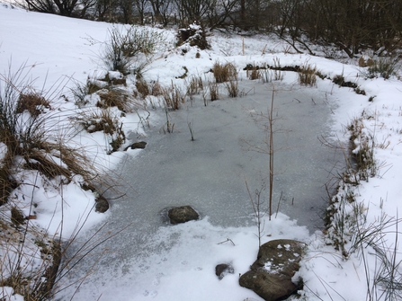 Frozen pond by Anna Williams
