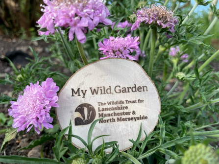 Our My Wild Garden award