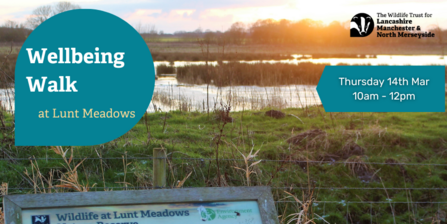 Sunrise view over a wet grassland with title Wellbeing Walk at Lunt Meadows, Thursday 14th March 10am - 12pm