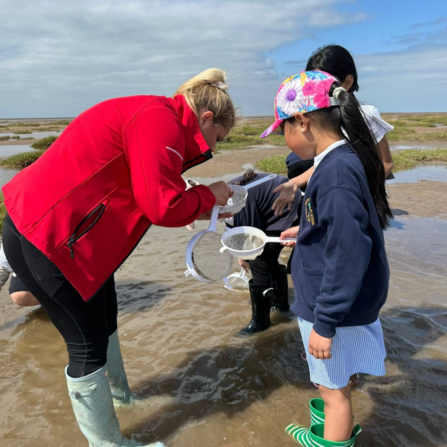 Mud dipping 