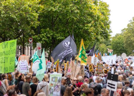 Flying the flag for Lancashire, by A.J.Critch Wildlife