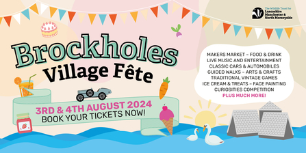 Brockholes Village Fete