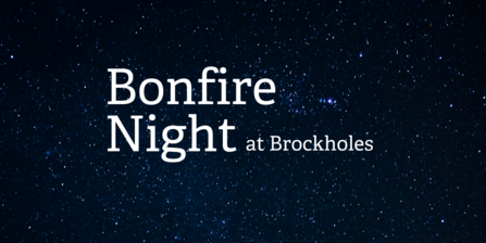 Bonfire Night at Brockholes