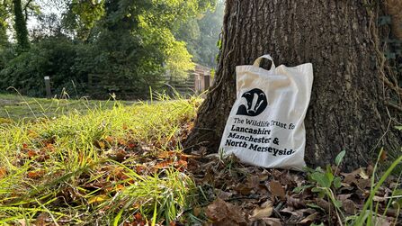 LWT tote bag 