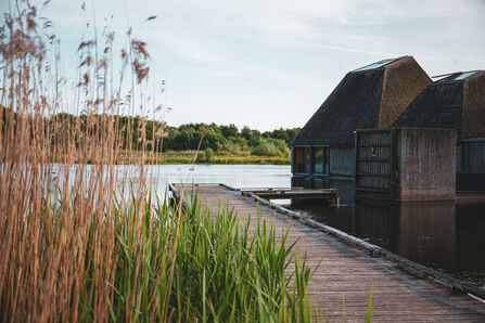 Brockholes visitor village with reed bed in the foreground