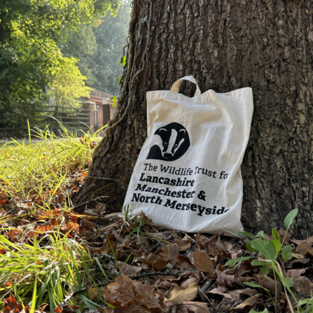 A Lancashire Wildlife Trust tote bag resting against a tree