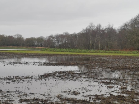 Area of wet field with standing water