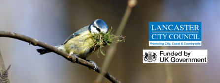 Bird Box Event