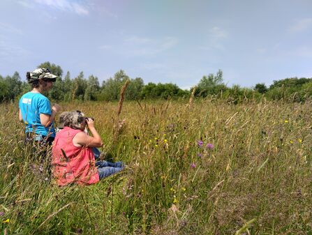 Two people in a wildflower meadow looking through binoculars