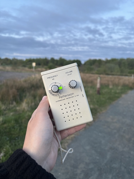 A bat detector turned on listening for bat echolocation 