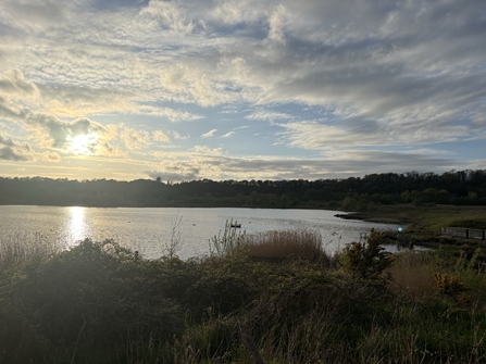 Brockholes at sunset