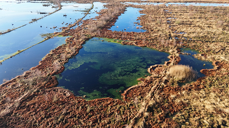 Little Woolden Moss Credit A.J Critch Wildlife