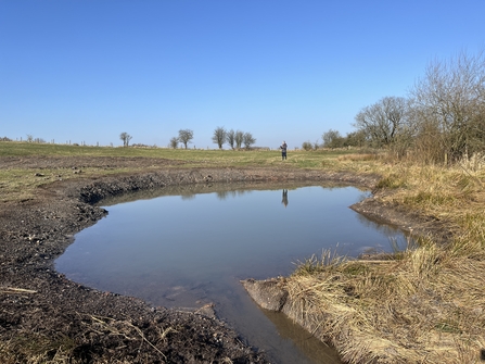 A newly dug pond at Cutacre