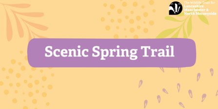 Scenic Spring Trail