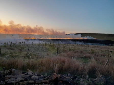 Fire burning on an area of moorland