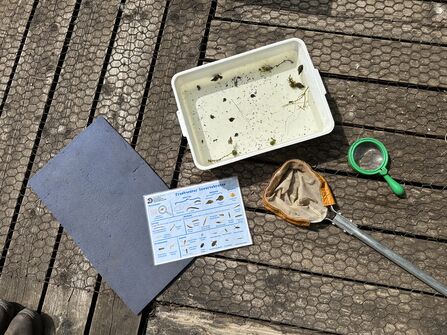 Pond dipping equipment