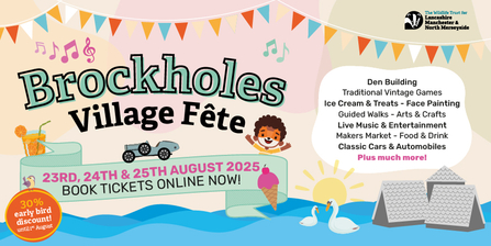 Brockholes Village Fete website header