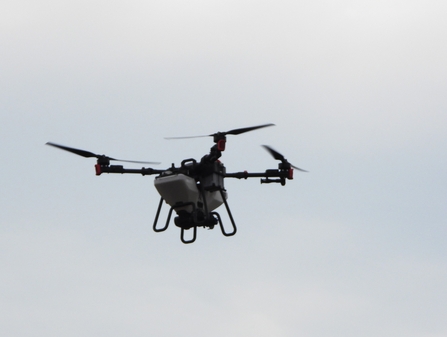 Drone over LWM by Dave Steel
