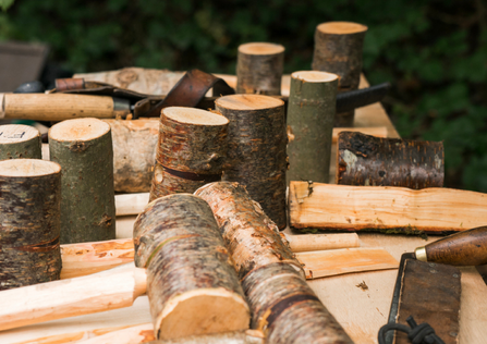 Mallet workshop