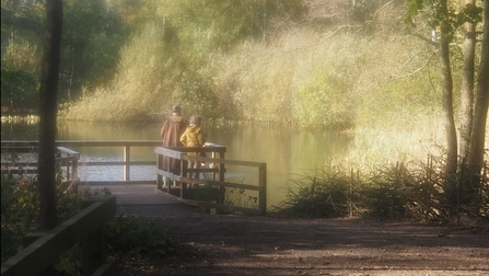 Misty Moment at Mere Sands Wood
