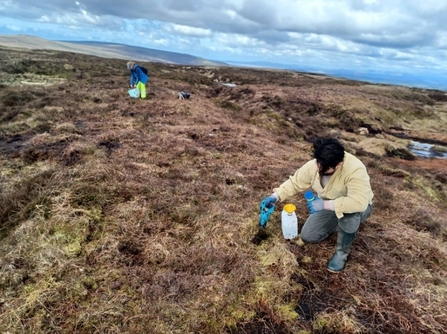 Volunteers on a peat bog installing pit traps