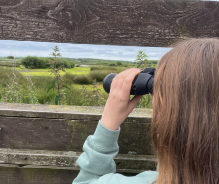 Birdwatching at Lunt Meadows