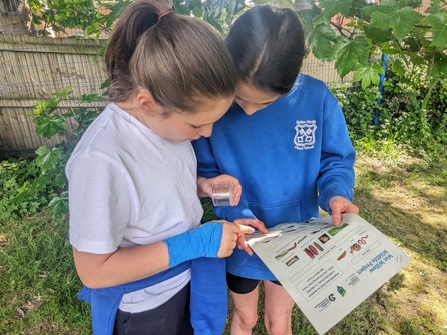 Two children looking at an insect spotter sheet