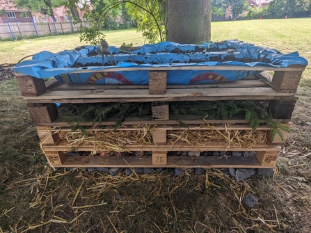 Bug hotel made our of pallets