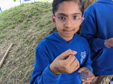 Girl holding a small green sawfly larvae